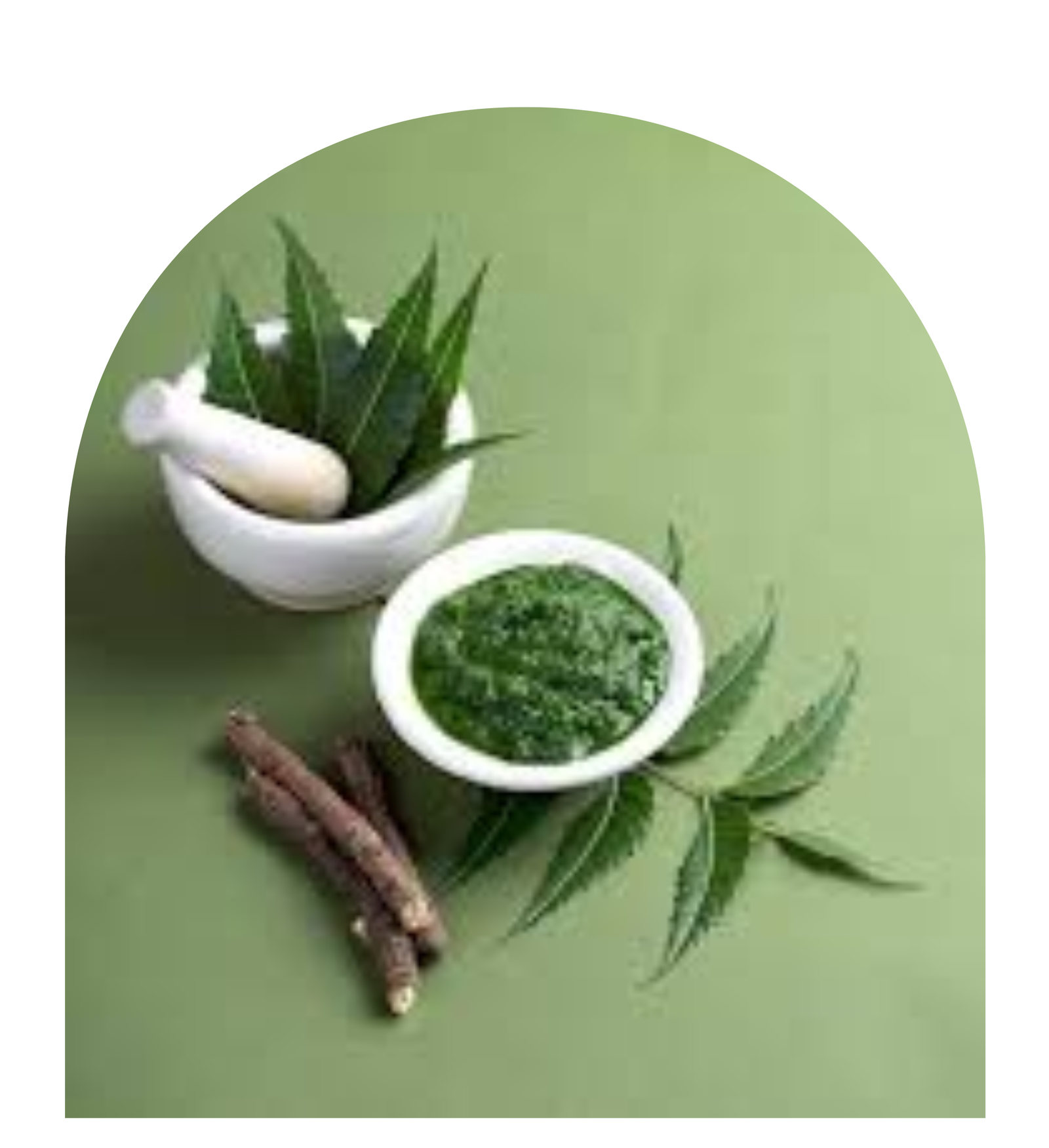 Burraq Herbals